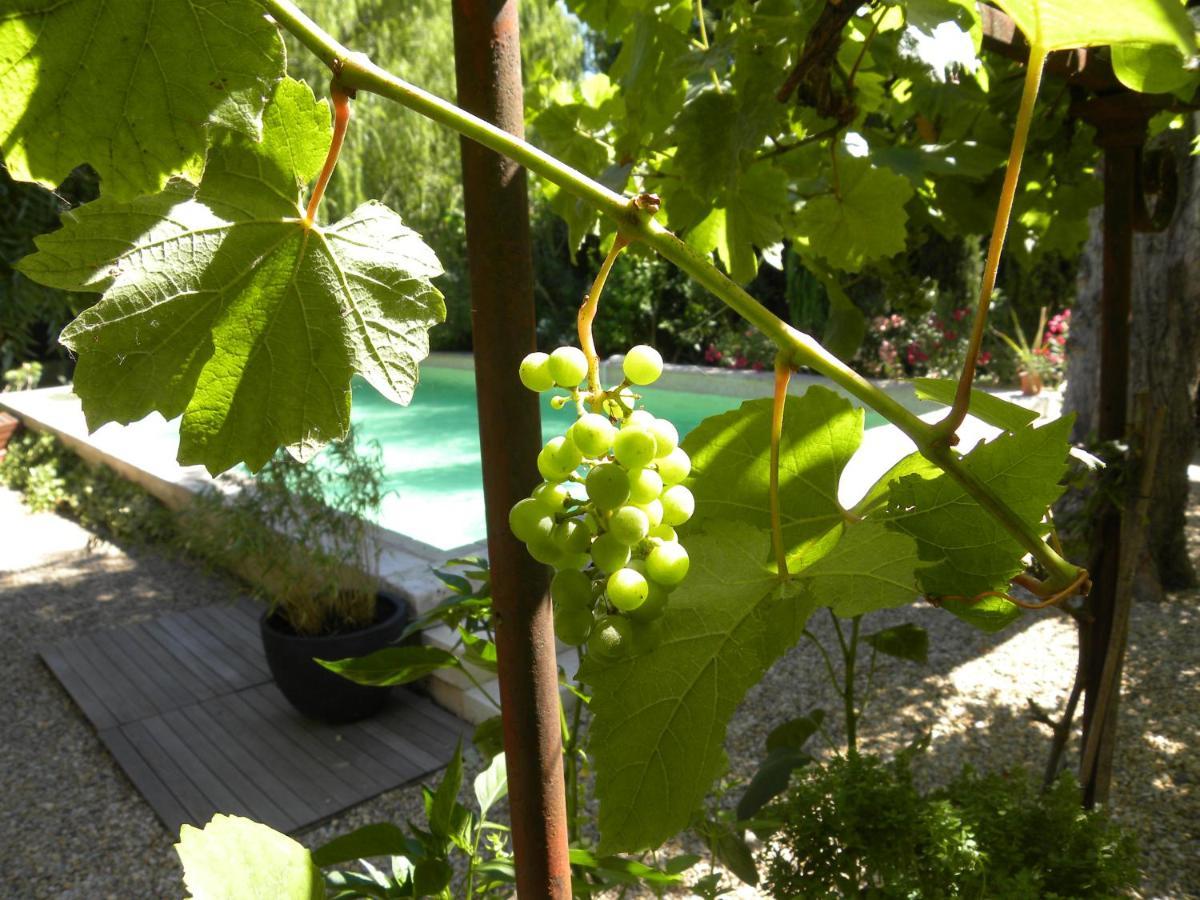 Maison Piloni L'Isle-sur-la-Sorgue Kültér fotó